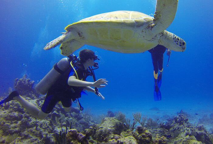 potápění se želvami